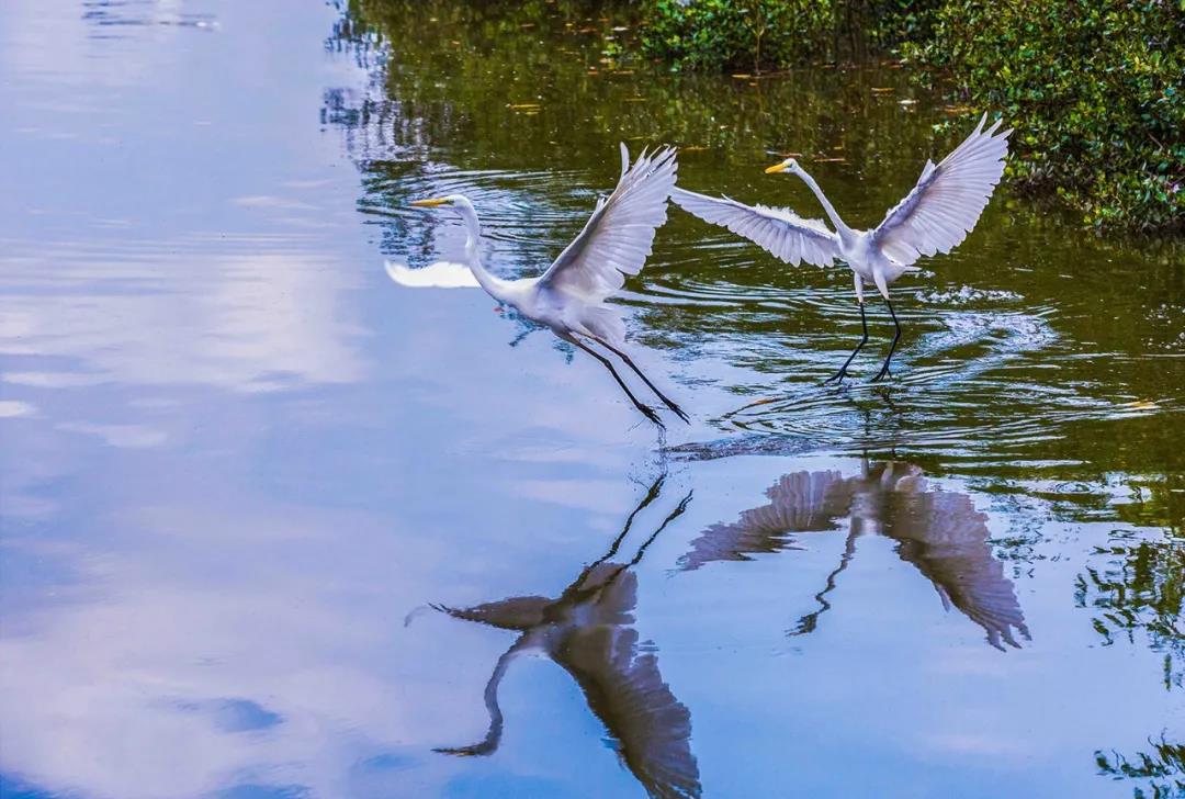 美丽中国 • 海南篇丨绿色正能量 美好新海南