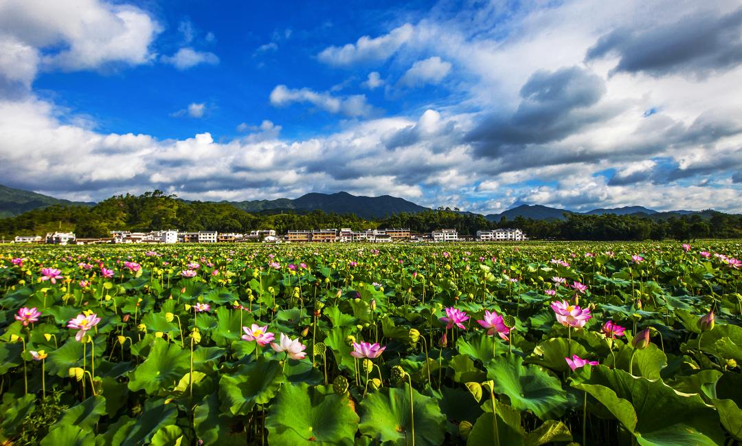 美丽中国 • 江西篇丨手握“红古绿”调色板 绘就“江西风景独好”新画卷