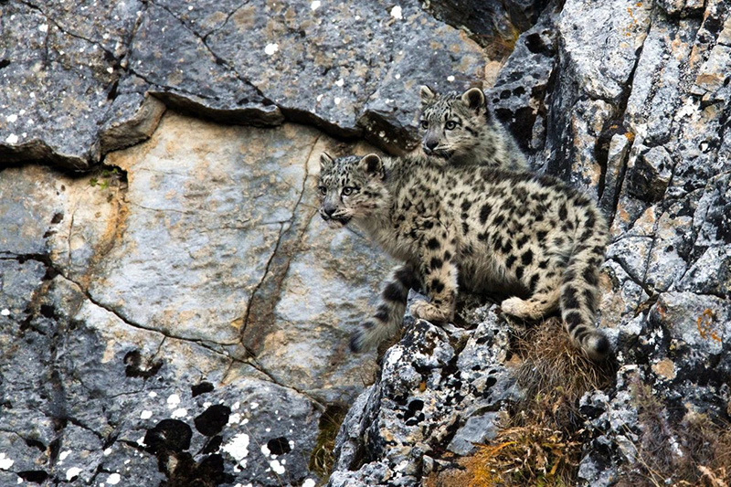 美丽中国 • 青海篇丨大美青海 生态高地