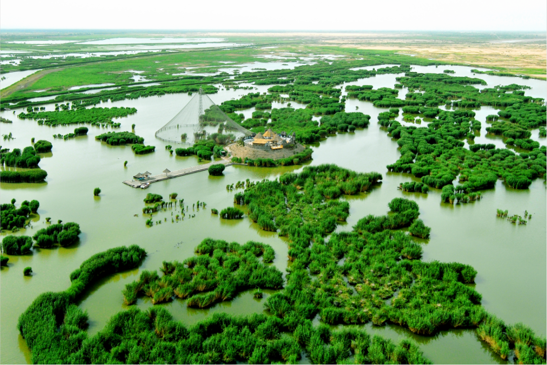 美丽中国 • 宁夏篇丨大美宁夏 生态立区