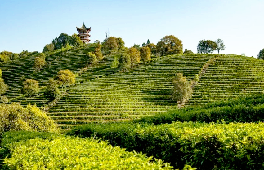 弘扬传统文化 传承红色基因 赋能乡村振兴——《祖国》杂志社调研活动走进云南玉溪