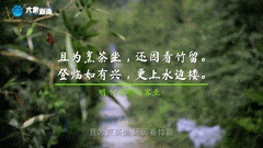 清明|在春茶中感知故乡温度