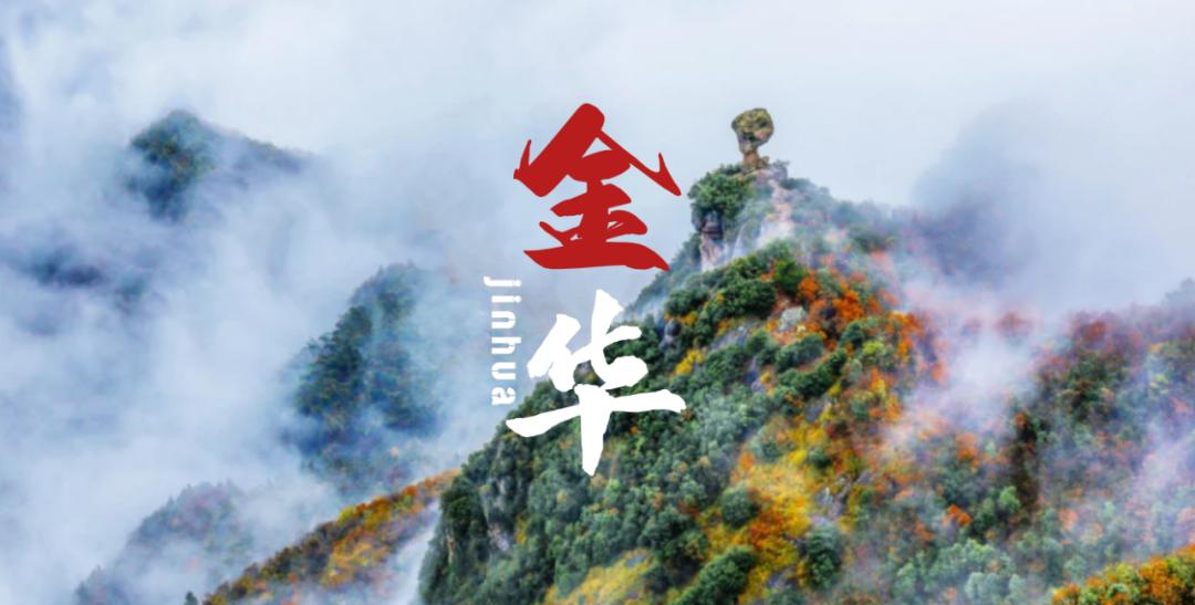 侨见浙里 | 金华