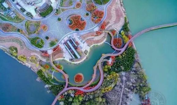 侨见浙里 | 金华