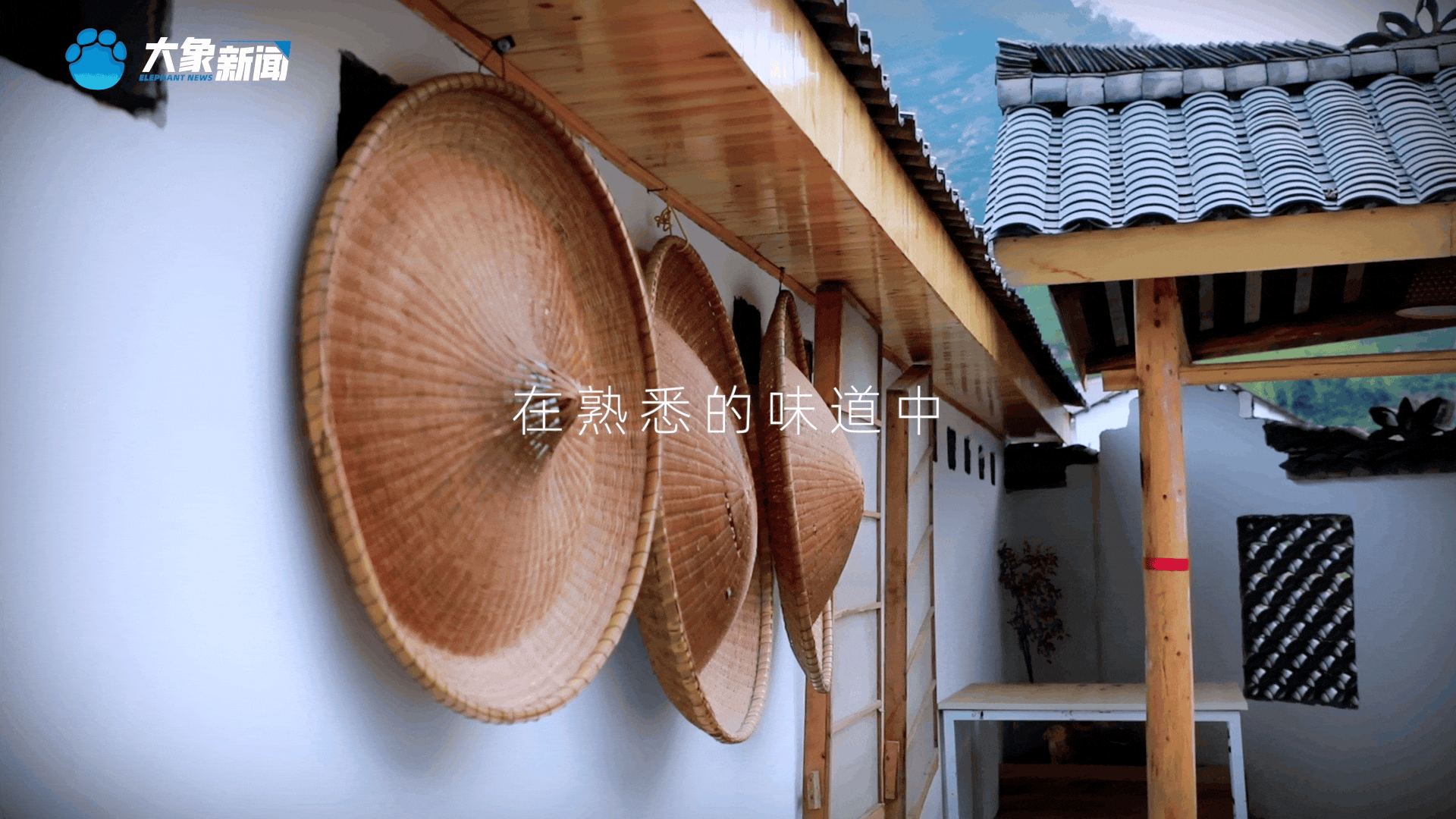 清明|在春茶中感知故乡温度