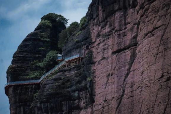 侨见浙里 | 金华