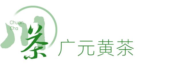 赶在春天,喝杯川茶!