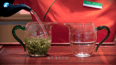 清明|在春茶中感知故乡温度