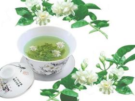 最好的茉莉花茶叫什么