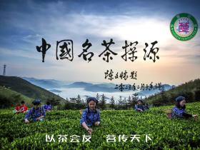 陈文怀教授为《中国名茶》探源活动题字