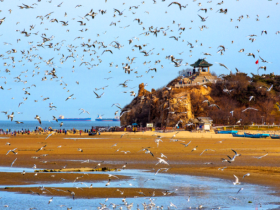 美丽中国•河北篇丨擦亮美丽河北生态底色