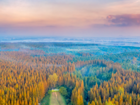 美丽中国•上海篇丨让绿色成为最动人底色最温暖亮色
