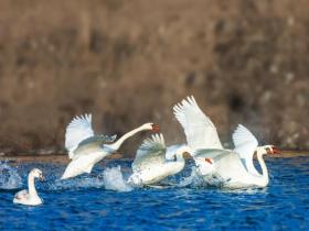 美丽中国 • 新疆篇丨大美新疆 绿色发展