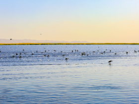 美丽中国 • 内蒙古自治区篇丨环保清风吹绿草原